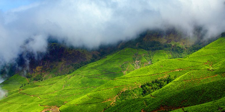 Idukki Tour Package