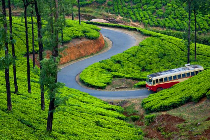 Kerela Tour Package in Munnar