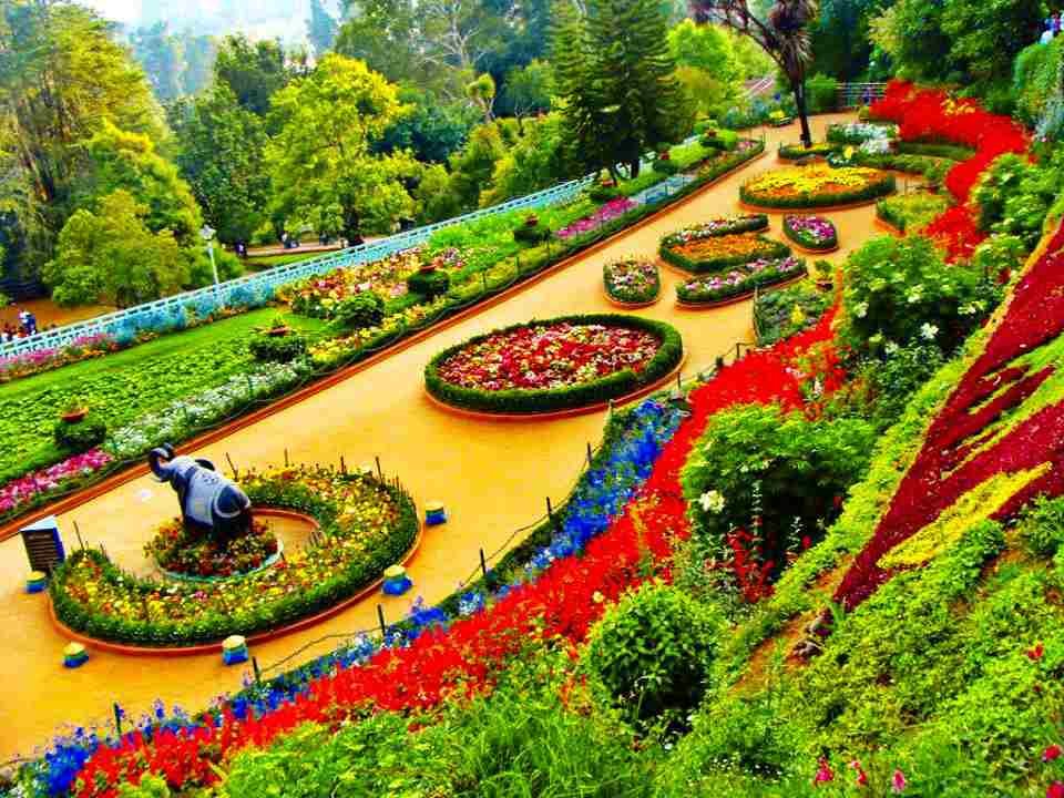 Ooty Tour Package